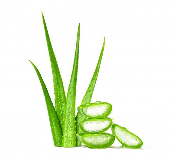 Aloe vera in Men's Defence