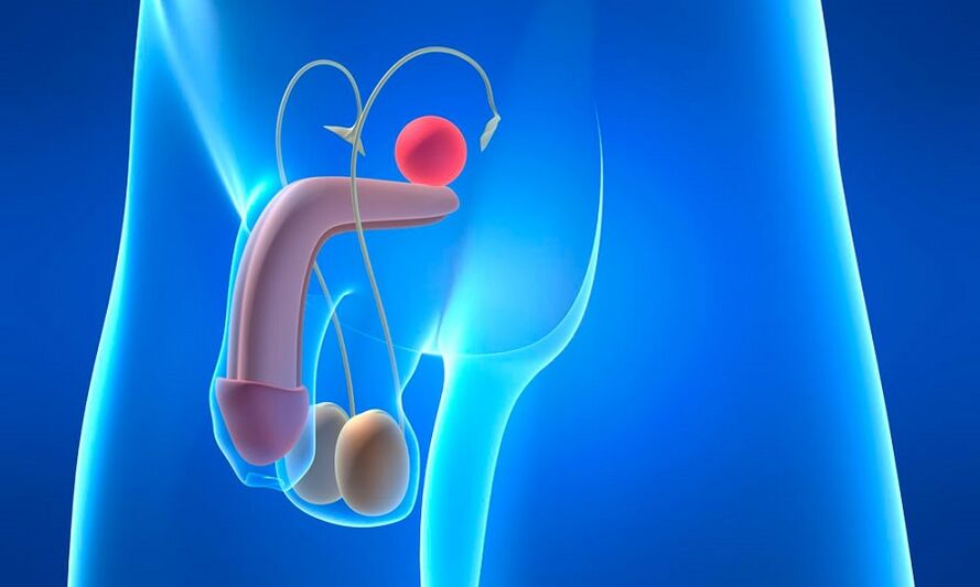 edema of the prostate with prostatitis